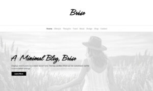 Brise Minimal Blog WordPress Theme