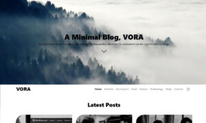 Vora Minimal Blog WordPress Theme