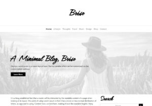 Brise Minimal Blog WordPress Theme